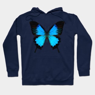 Blue Emperor Swallowtail Hoodie